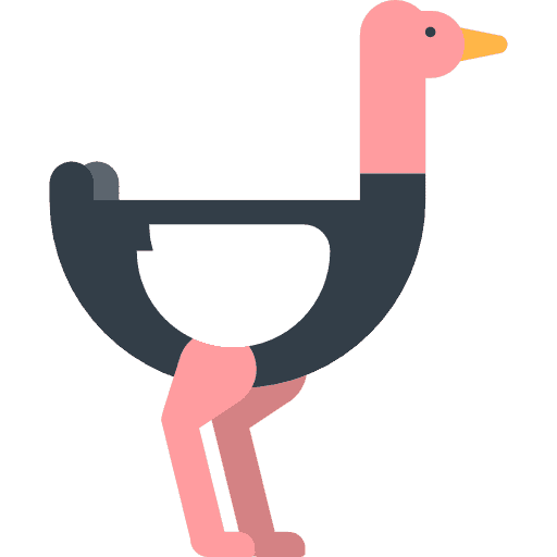 Hipponuto